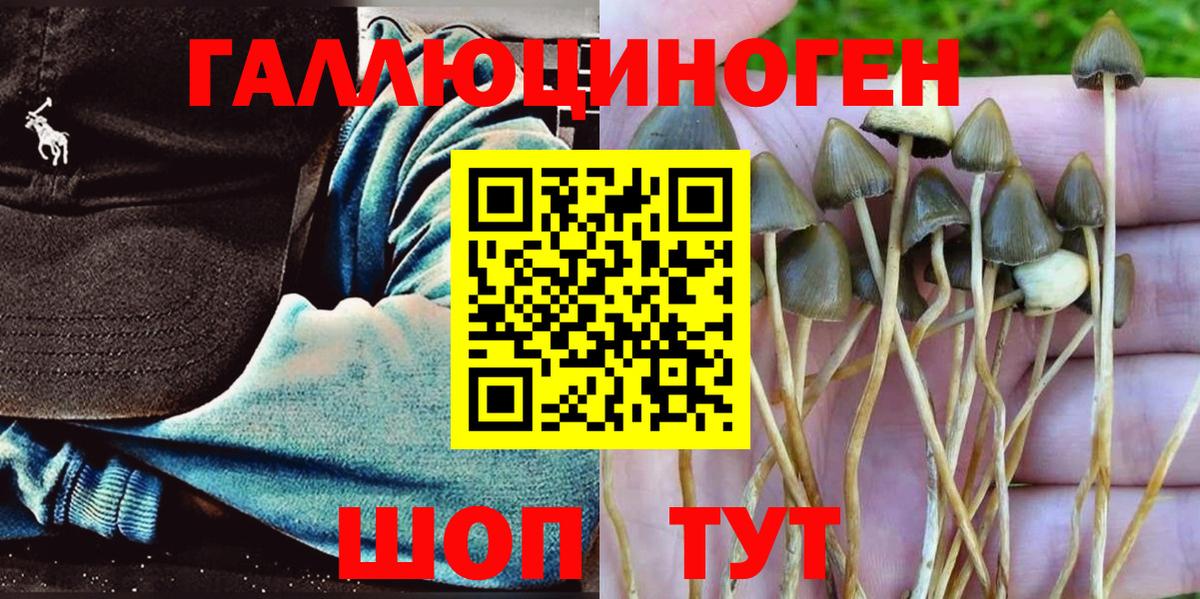Псилоцибиновые грибы мухоморы  Псилоцибиновые грибы Cubensis  Сланцы  Вход с VPN 